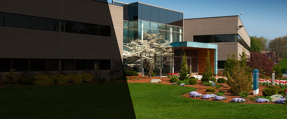 Eagar Landscapers