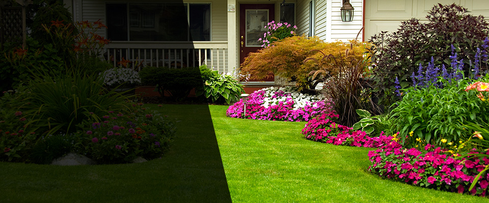 Eagar Landscapers