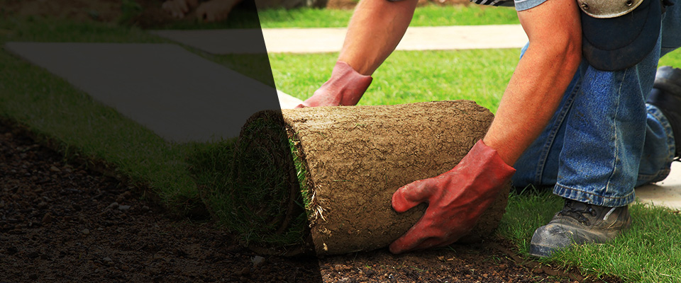 Eagar Landscapers